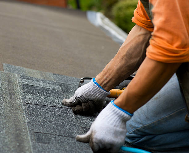 Best Storm Damage Roof Repair  in Berea, KY